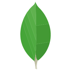 MongoDB Atlas 1